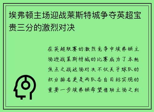 埃弗顿主场迎战莱斯特城争夺英超宝贵三分的激烈对决