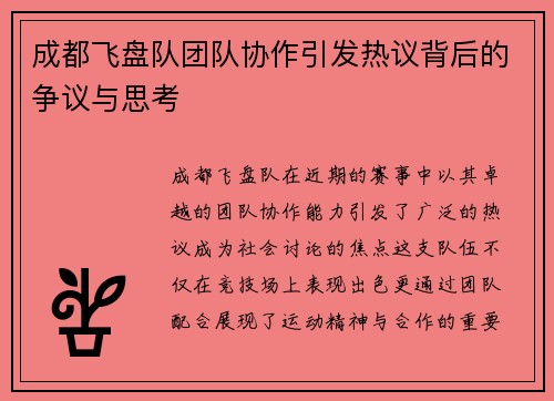 成都飞盘队团队协作引发热议背后的争议与思考