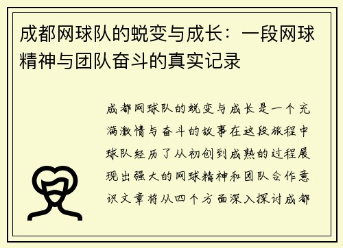 成都网球队的蜕变与成长：一段网球精神与团队奋斗的真实记录